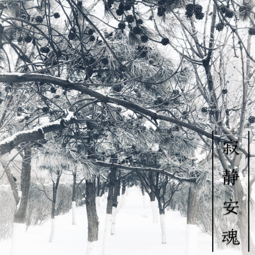 Silent Soul (CHN) : Early